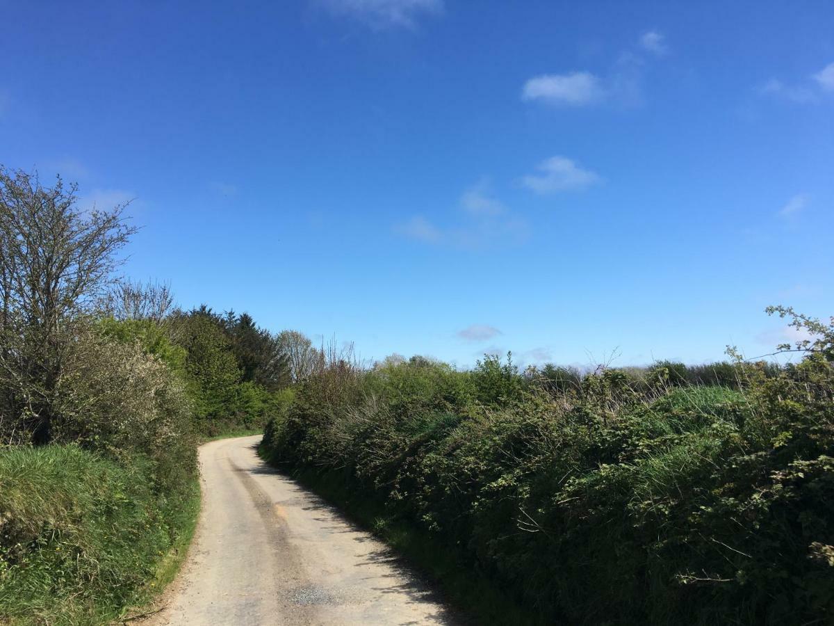 Tobernaglough Wexford Pet Friendly Country B&B Ramsgrange Exterior foto
