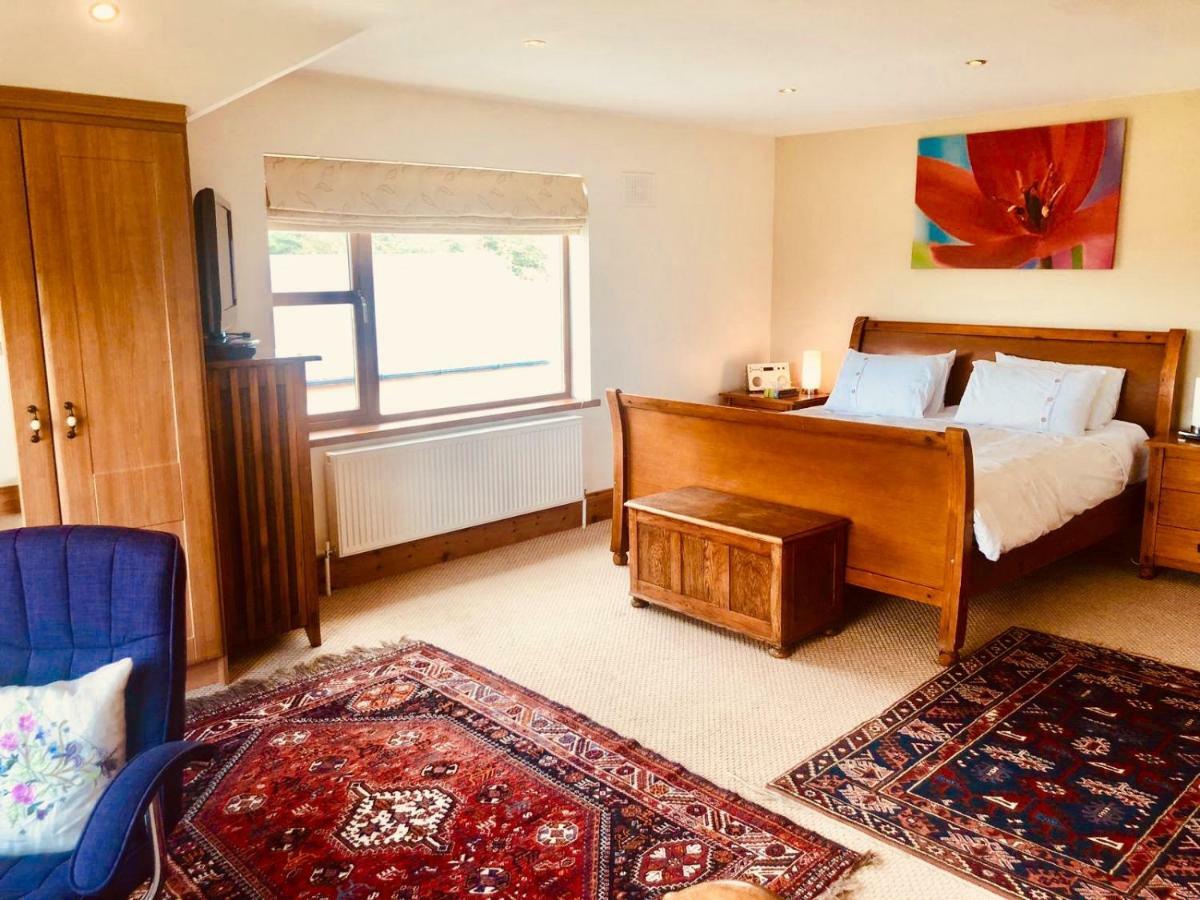 Tobernaglough Wexford Pet Friendly Country B&B Ramsgrange Exterior foto